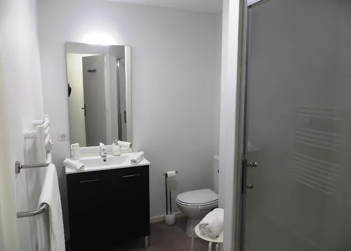 Facile, Lumineux, Parking, Metro, Proche Du Centre Tuluza